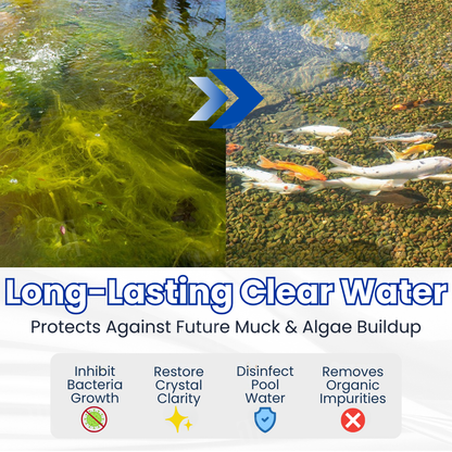 Rekulo® Aqua-Guardian Pro Formula🐟 From Swampy Green to Crystal Clear – Without the Chemicals