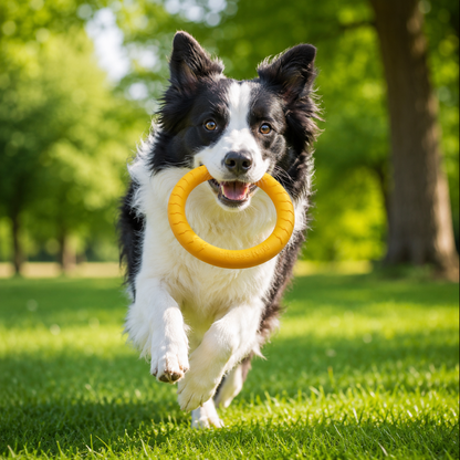 Clacyro® Interactive Dog Ring Toy